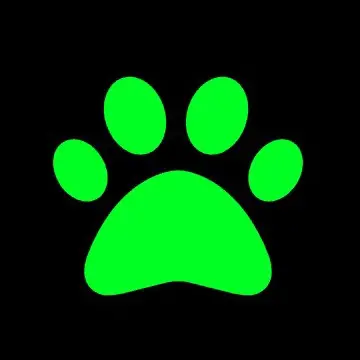 Chat Noir Brasil APK