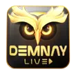 Demnaylive APK